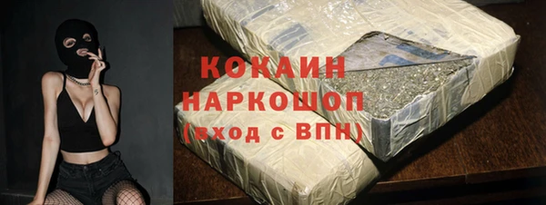 гидра Богородск