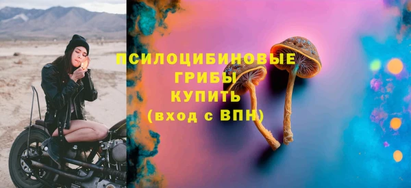 скорость Богданович