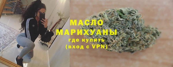 гидра Богородск