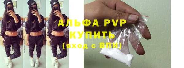 гидра Богородск
