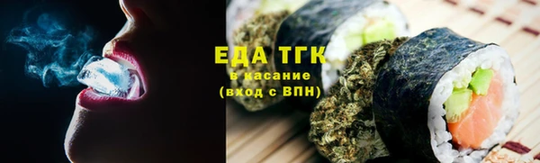 гидра Богородск