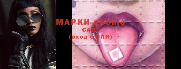 гидра Богородск