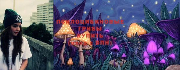 гидра Богородск
