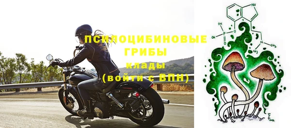 скорость Богданович