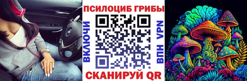 Купить где  Когалым  Псилоцибиновые грибы Psilocybine cubensis 